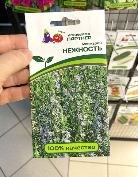 Розмарин Нежность